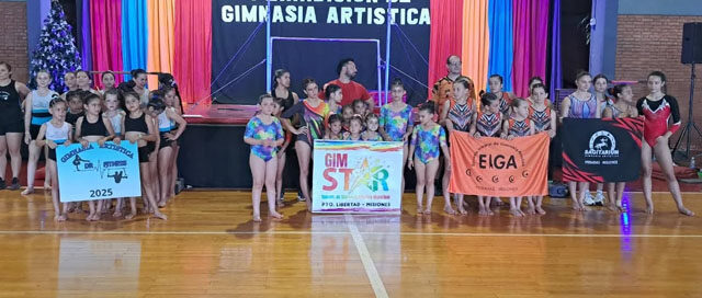 Wanda: La Escuela Municipal de Gimnasia Artística realizó su primera exhibición anual