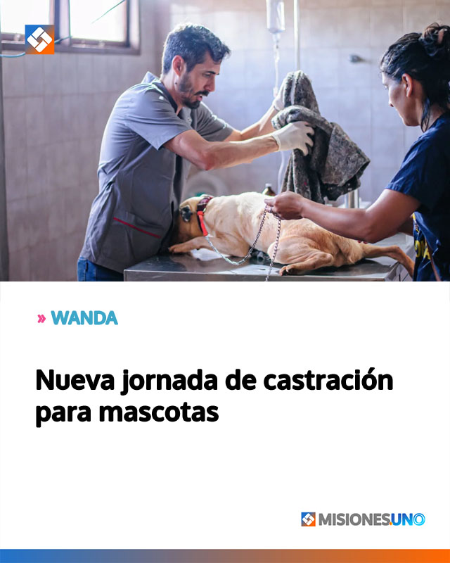 WANDA: Nueva jornada de castración para mascotas