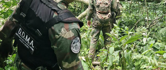 IGUAZÚ: Operativo conjunto de control y vigilancia en la zona de la Ruta 12