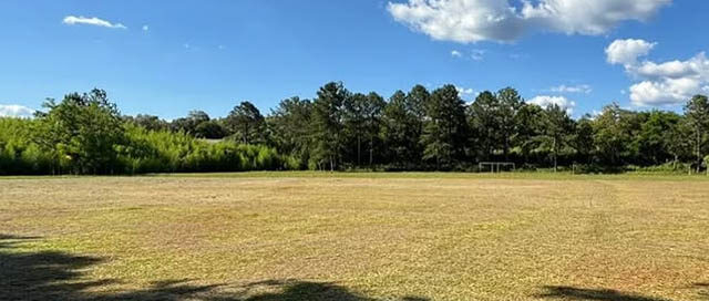 WANDA: La Municipalidad inicia la puesta en valor de la cancha “Justino Denis” en el barrio Lourdes