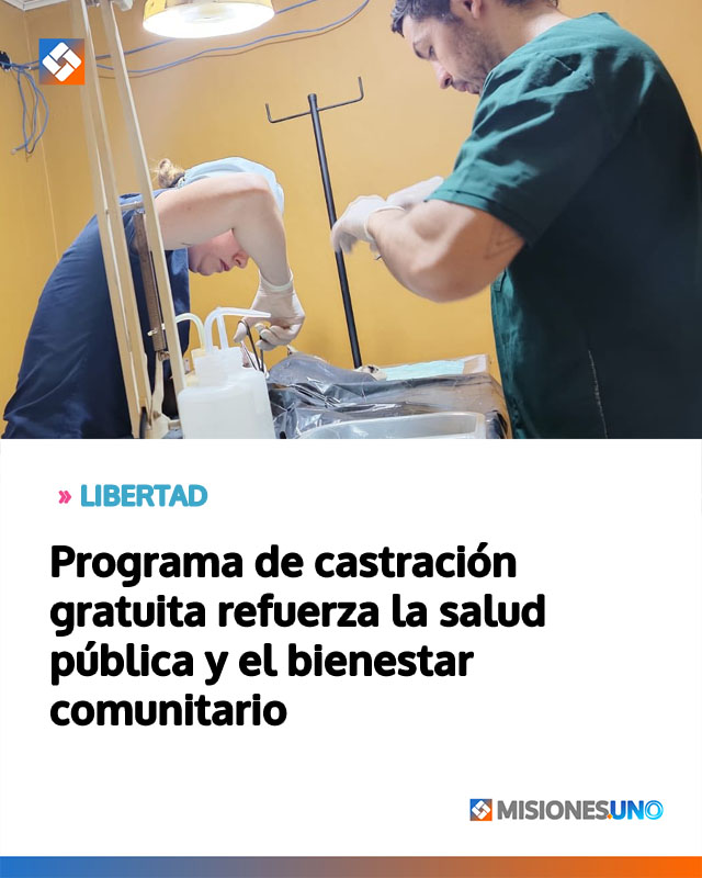 Programa de castración gratuita refuerza la salud pública y el bienestar comunitario