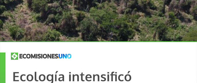 Ecología intensificó controles forestales y ambientales en distintas localidades