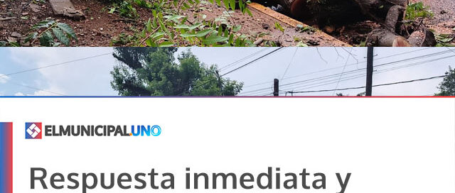 Respuesta inmediata y trabajo conjunto para restablecer el servicio eléctrico tras el temporal