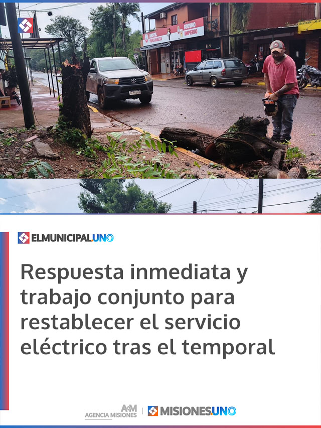 Respuesta inmediata y trabajo conjunto para restablecer el servicio eléctrico tras el temporal