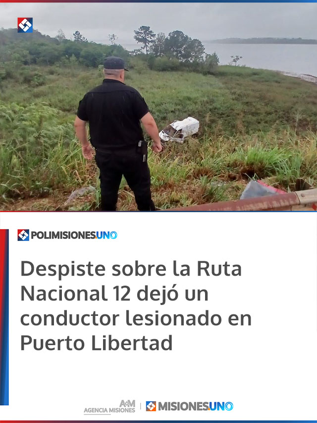 Despiste sobre la Ruta Nacional 12 dejó un conductor lesionado en Puerto Libertad