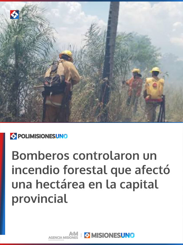 Bomberos controlaron un incendio forestal que afectó una hectárea en la capital provincial