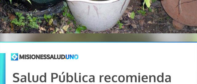 Salud Pública recomienda reforzar la prevención contra el mosquito tras las lluvias en Misiones