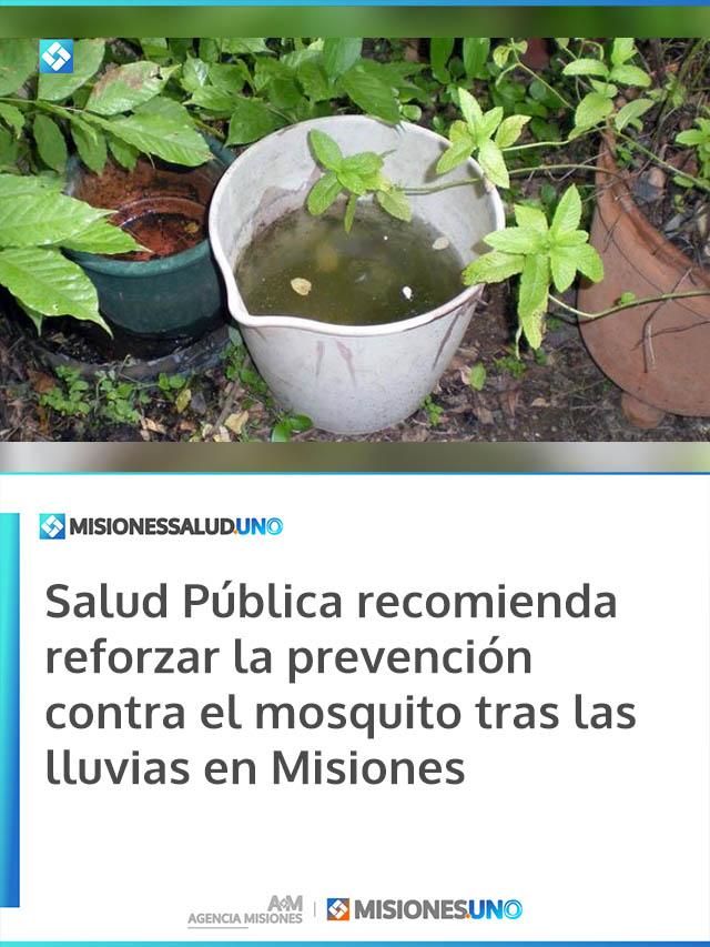 Salud Pública recomienda reforzar la prevención contra el mosquito tras las lluvias en Misiones