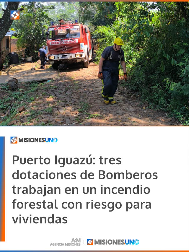Puerto Iguazú: tres dotaciones de Bomberos trabajan en un incendio forestal con riesgo para viviendas