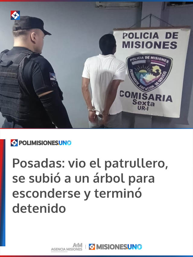 Posadas: vio el patrullero, se subió a un árbol para esconderse y terminó detenido