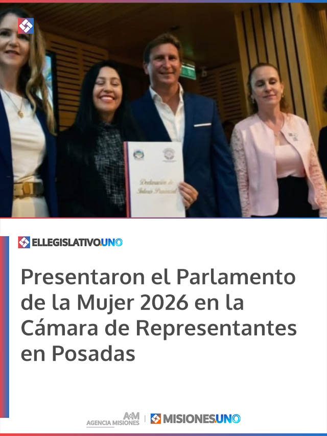 Presentaron el Parlamento de la Mujer 2026 en la Cámara de Representantes en Posadas