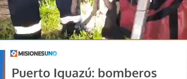 Puerto Iguazú: bomberos realizaron un operativo de rescate de un animal en el barrio San Lucas